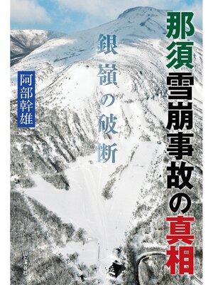 cover image of 那須雪崩事故の真相 銀嶺の破断